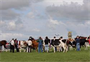 Anglesey County Show